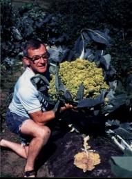 Giant Gardening - John Evans Broccoli