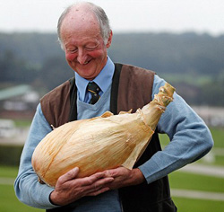 new world record onion and potato