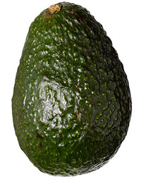 Giant Gardening - avocado