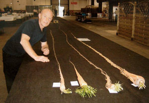 Giant Gardening - Joe Atherton Longest Carrot