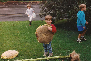 Young nathan and a GIANT sunflower