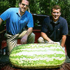 Giant Gardening Watermelon heaviest record photo